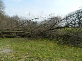 DSCN1930.JPG